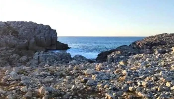 Capilla de la Virgen del Carmen - Bustio