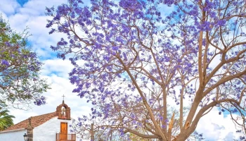 Ermita de San Vicente Ferrer - Buenavista De Arriba