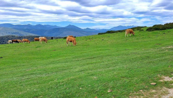 Ermita del Moral - Cantabria