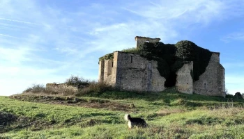 Iglesia de Peñahorada de Fuera (Ruinas) - Burgos