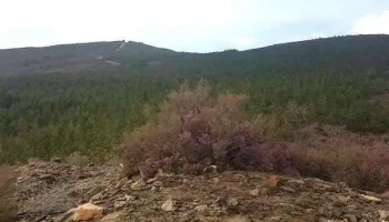 Lugar de la Ermita de San Pelayo - Toreno