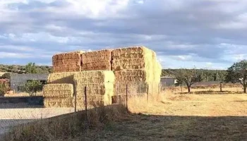 Muñoyerro - Muñoyerro