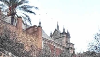 Parroquia de San Juan Bautista - Antequera