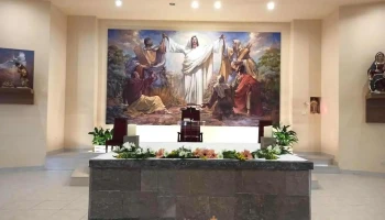 Parroquia El Salvador - Castellón De La Plana