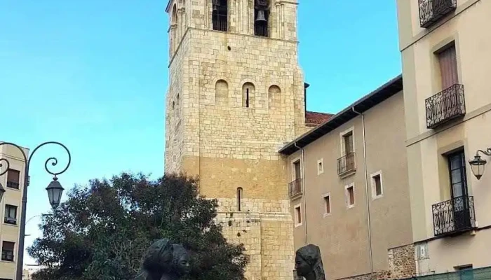 Basilica De San Isidoro Recientes - León