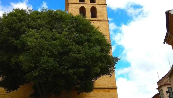 Bisbat De Mallorca -  Iglesia - Sencelles