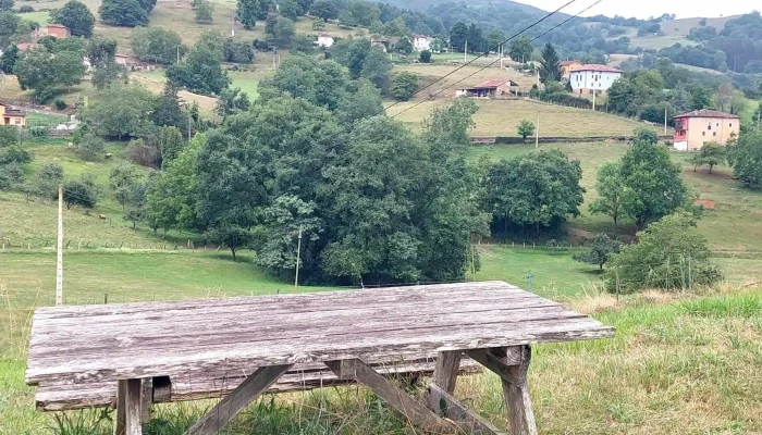 Capilla De San Martin De Escoto Zona - Asturias