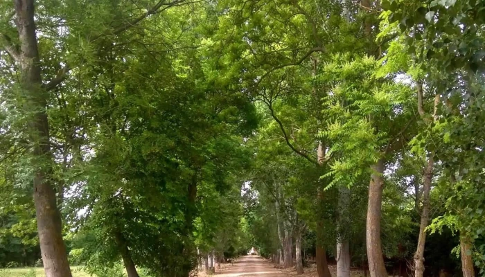 Casa De Espiritualidad Rscj Santa Maria De Huerta Instagram - Santa María de Huerta