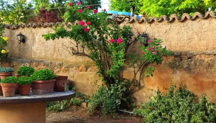 Casa De Espiritualidad Rscj Santa Maria De Huerta Numero - Santa María de Huerta