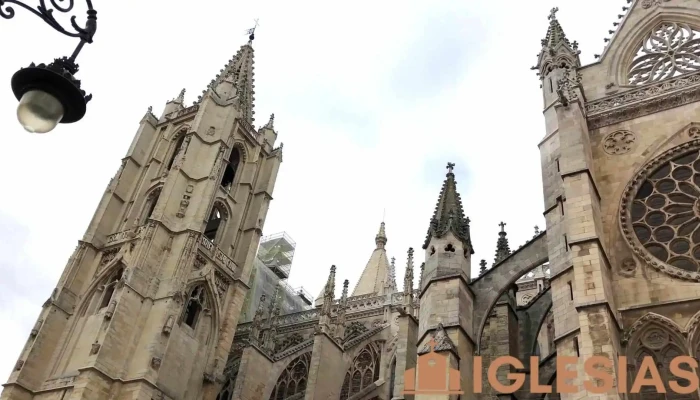 Catedral De Leon Videos - León