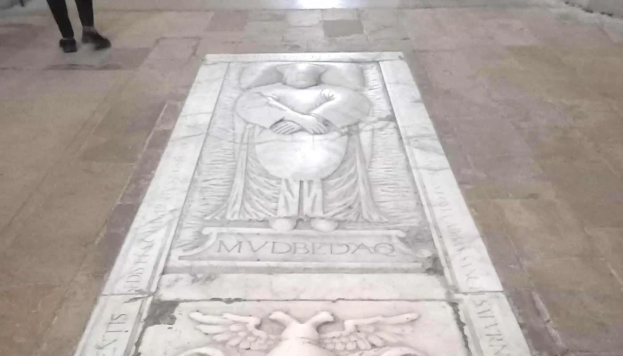 Catedral de Santa Maria de Tortosa - Tortosa