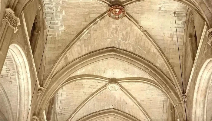 Catedral De Santa Maria De Tortosa -  Zona - Tortosa