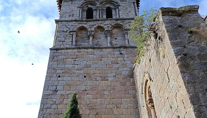 Colegiata De San Pedro De Cervatos -  Sitio Web - San Pedro