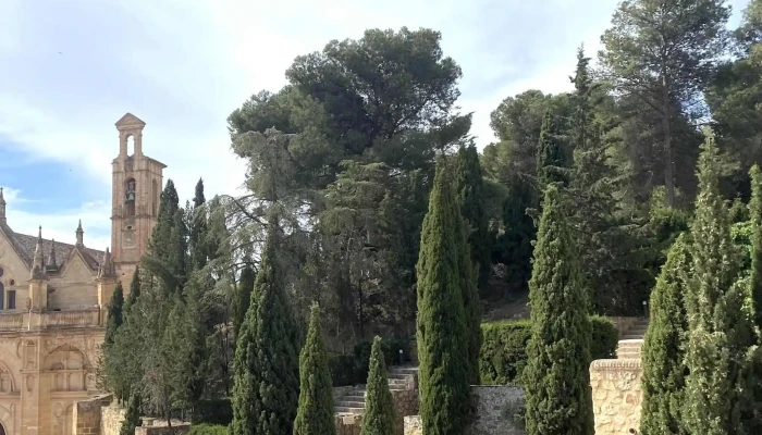 Colegiata De Santa Maria -  Cerca De Mi - Antequera