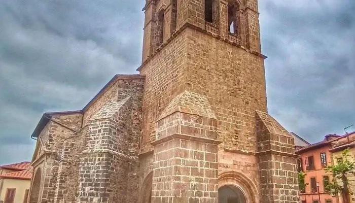 Colegiata de Santa María la Mayor - Salas