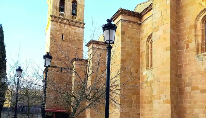 Concatedral De San Pedro -  Catalogo - Soria