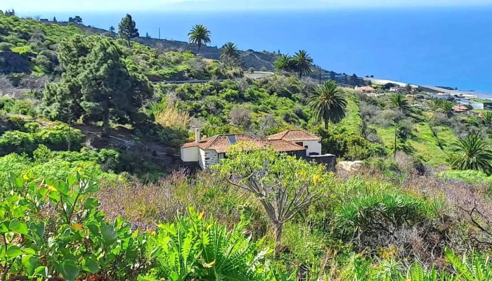 Ermita De El Buen Jesus Zona - Tijarafe