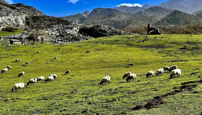 Ermita De El Buen Pastor -  Recientes - Cangas de Onís