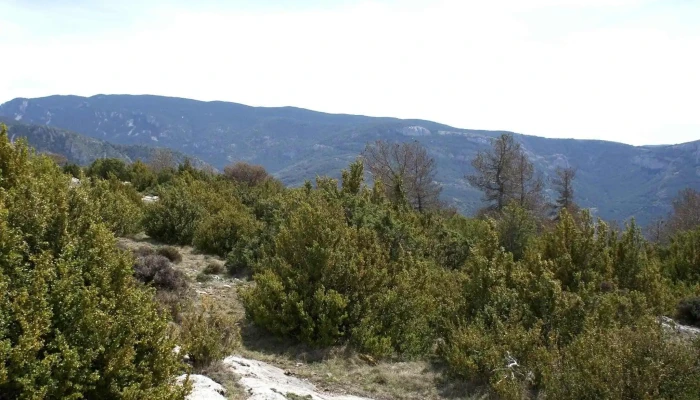 Ermita De Espla Numero - Lleida