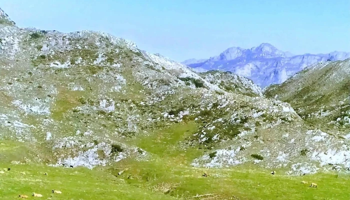 Ermita De L Arcenoriu Direccion - Asturias