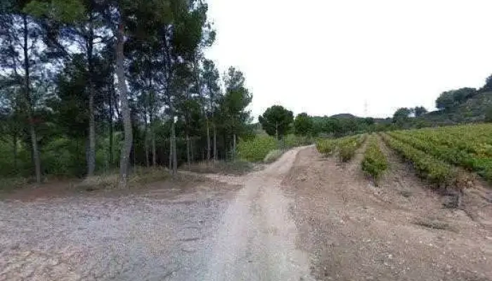 Ermita De La Mare De Deu Del Roser Telefono - Sant Quintí de Mediona