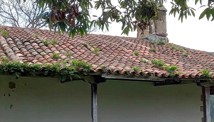 Ermita De La Virgen De Armatilla Puntaje - Oviedo