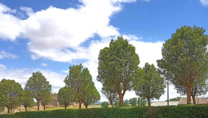 Ermita De La Virgen De La Llana -  Promocion - Almenar de Soria