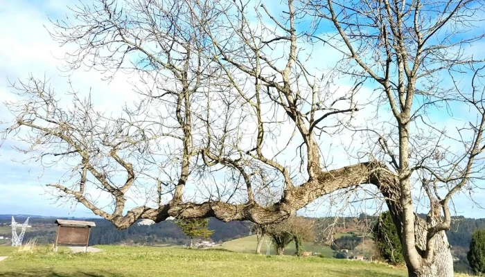 Ermita De Los Santos Justo Y Pastor -  Catalogo - Asturias