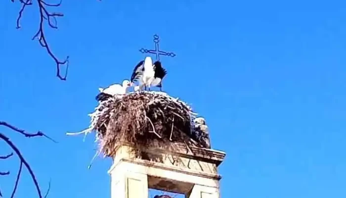 Ermita De Ntra Sra De La Soledad Videos - Soria