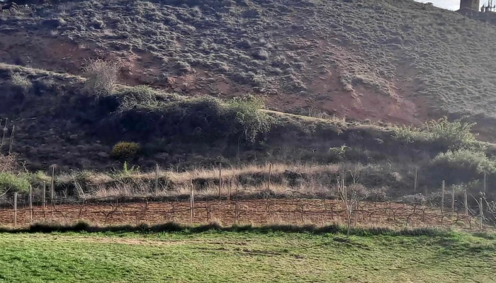 Ermita De San Alejo -  Videos - Lleida