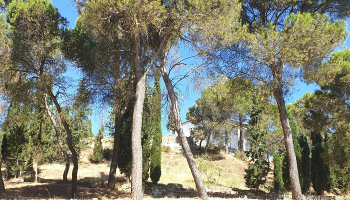 Ermita De San Jorge -  Comentario 8 - Huesca