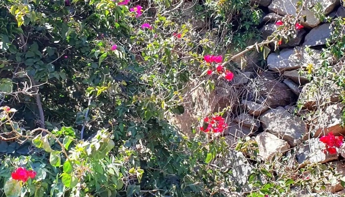 Ermita De San Juan -  Como Llegar - San Sebastián de la Gomera