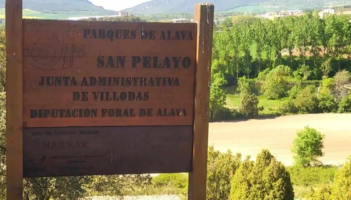 Ermita De San Pelayo -  Sitio Web - Víllodas