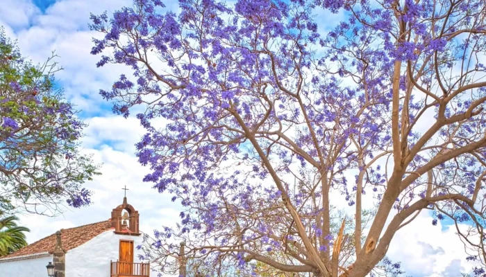 Ermita de San Vicente Ferrer - Buenavista De Arriba