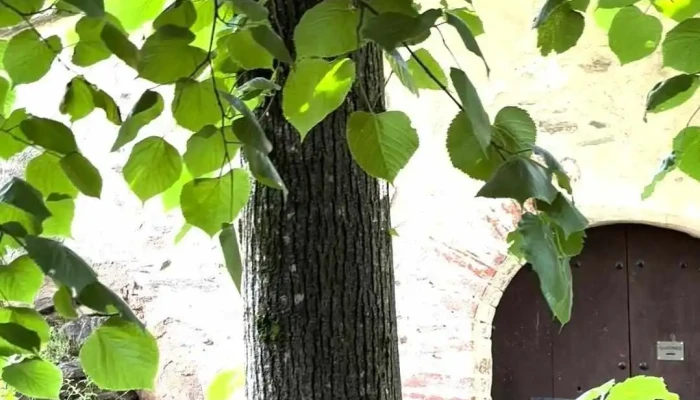 Ermita De Sant Marti De Montseny Videos - Montseny