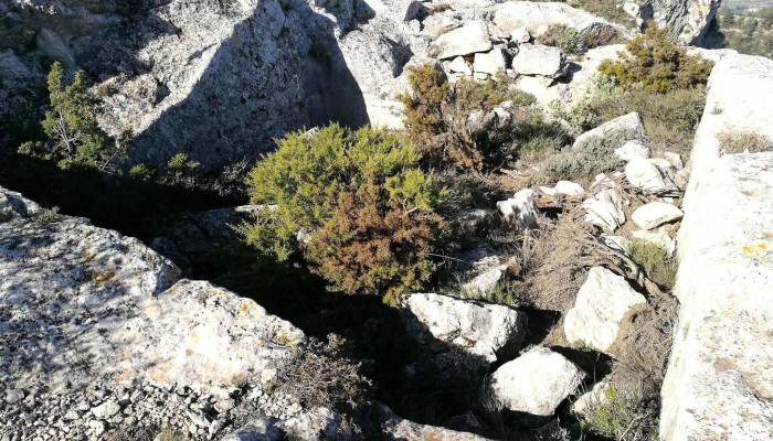 Ermita De Sant Roc -  Capilla - Penàguila