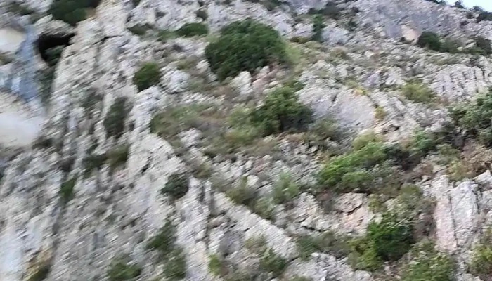 Ermita De Sant Roc -  Videos - Penàguila