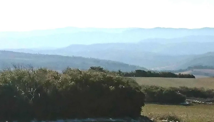 Ermita De Sant Sebastia Comentario 8 - Calaf