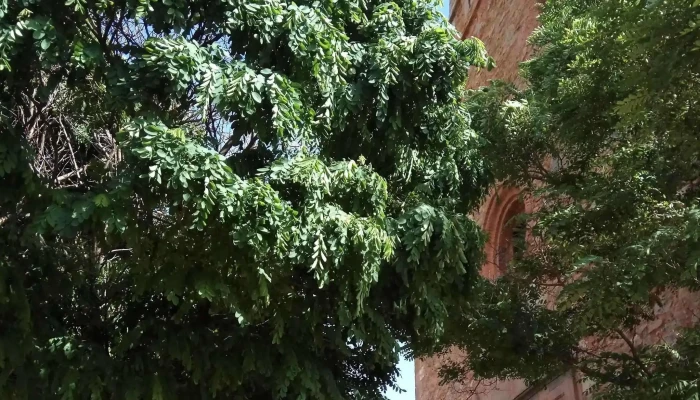 Ermita De Santa Ana -  Instagram - linares de mora