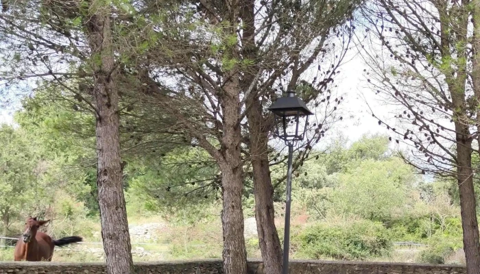 Ermita De Santa Anna -  Ubicacion - Catí