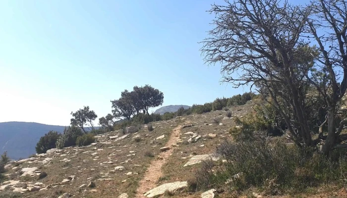 Ermita De Santa Cruz -  Abierto Ahora - Navarra