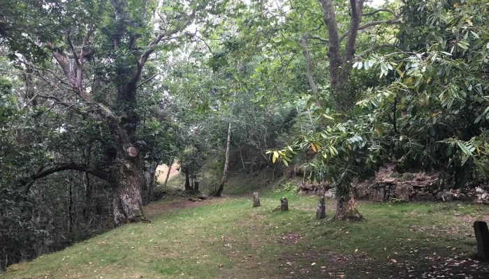 Ermita Del Carmen -  Precios - Cantabria