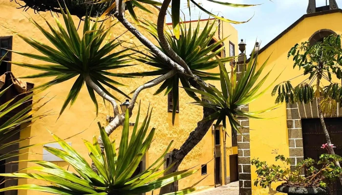 Ermita Del Espiritu Santo -  Fotos - Las Palmas de Gran Canaria