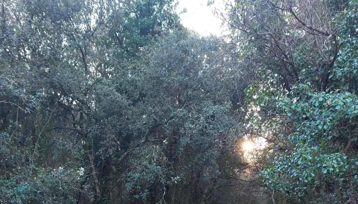 Ermita San Miguel De Ereno Abierto Ahora - biscay