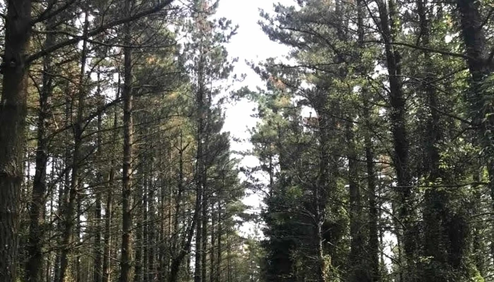 Ermita San Miguel De Ereno Como Llegar - biscay