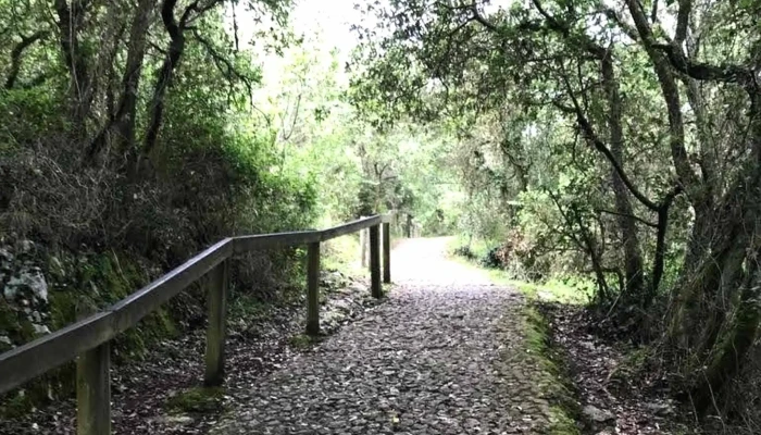 Ermita San Miguel De Ereno Direccion - biscay