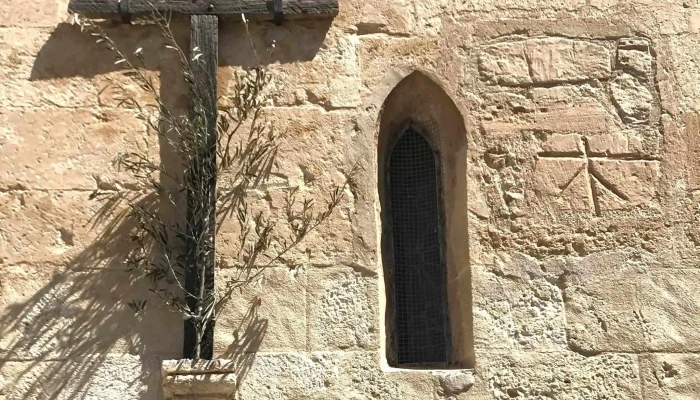 Esglesia De Sineu Catalogo - Sineu