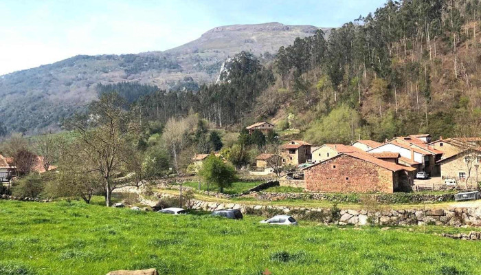 Fundación Laical Ayuda de Parroquia de Nuestra Señora de la Asunción - Carmona