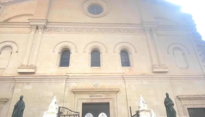 Iglesia Colegial Basilica De Santa Maria Telefono - Xàtiva