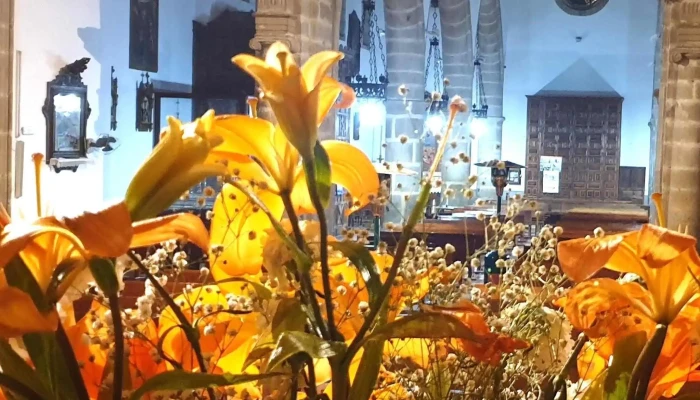 Iglesia De La Asuncion Instagram - Dos Torres